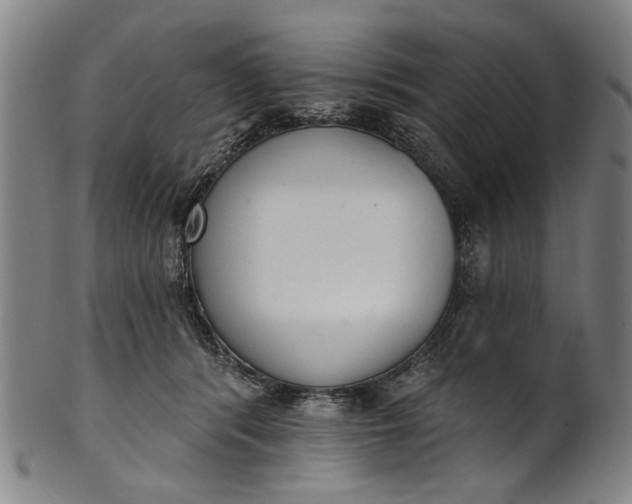 X0000101230416200807111125