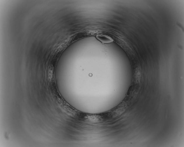 X0000101230417200807111125