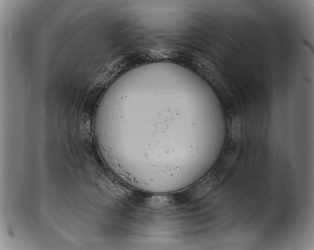 X0000101230418200807111125