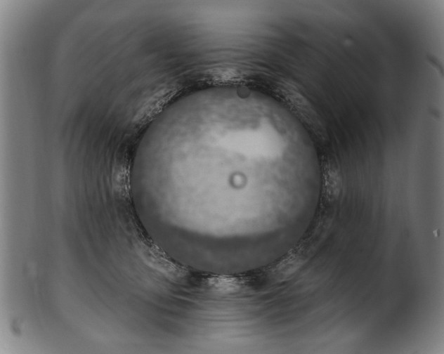 X0000101230419200807111125