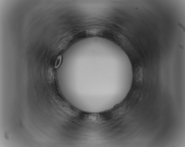 X0000101230420200807111125