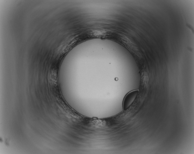 X0000101230421200807111125