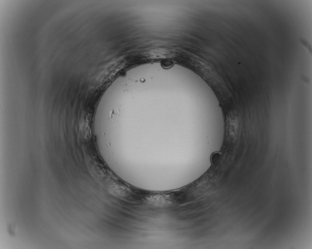 X0000101230422200807111125