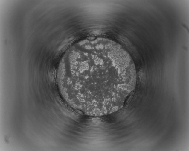 X0000101230423200807111125