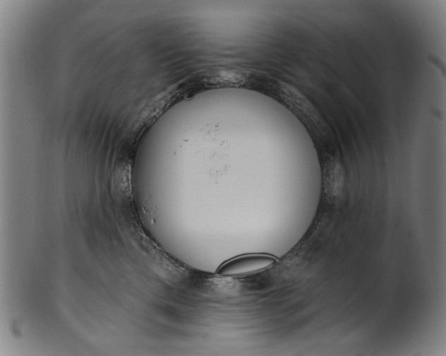 X0000101230425200807111124