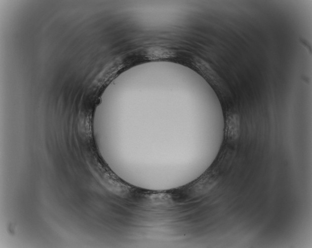 X0000101230426200807111124