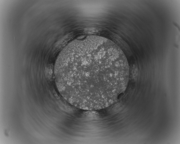 X0000101230427200807111124