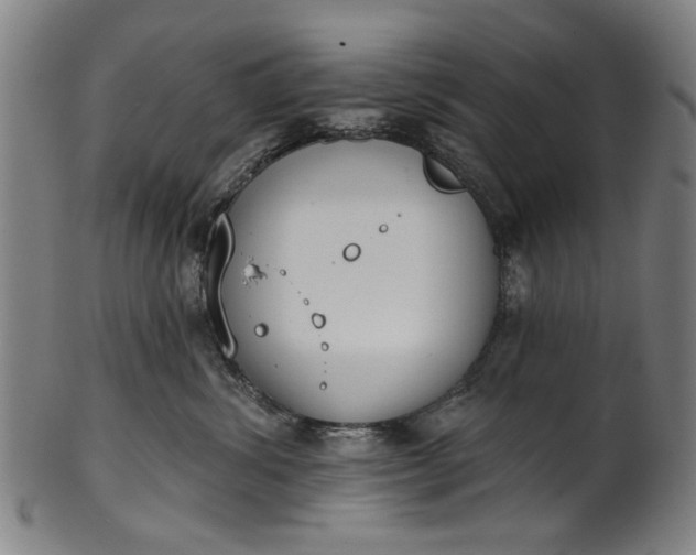 X0000101230428200807111124