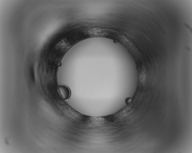 X0000101230429200807111124