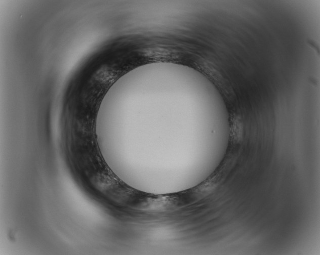 X0000101230430200807111124