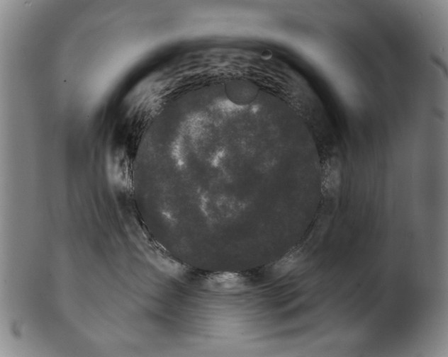 X0000101230431200807111124