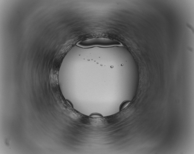 X0000101230432200807111124