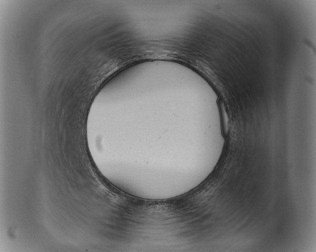 X0000101230433200807111123