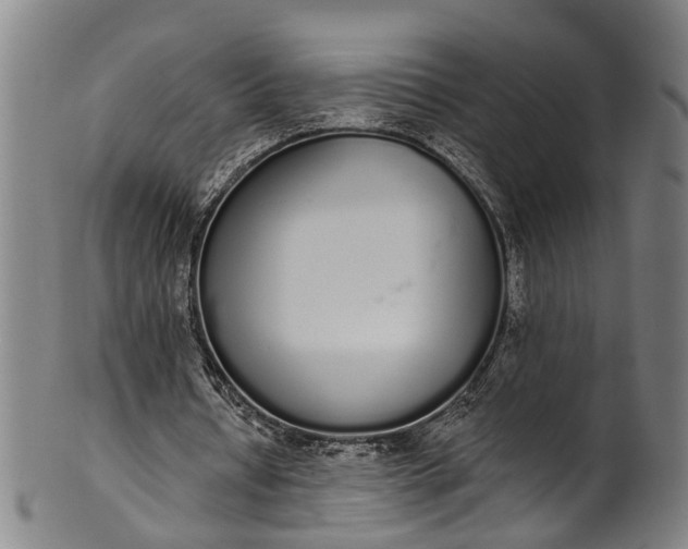 X0000101230434200807111123