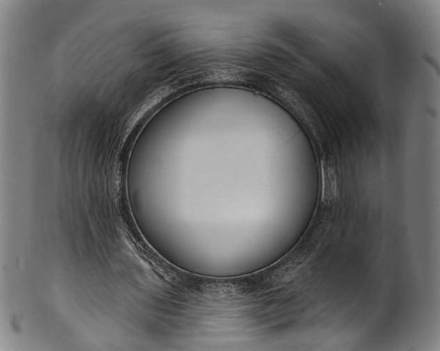 X0000101230435200807111124