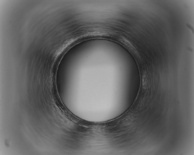 X0000101230436200807111124