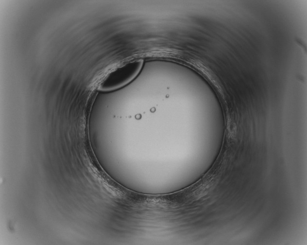 X0000101230437200807111124