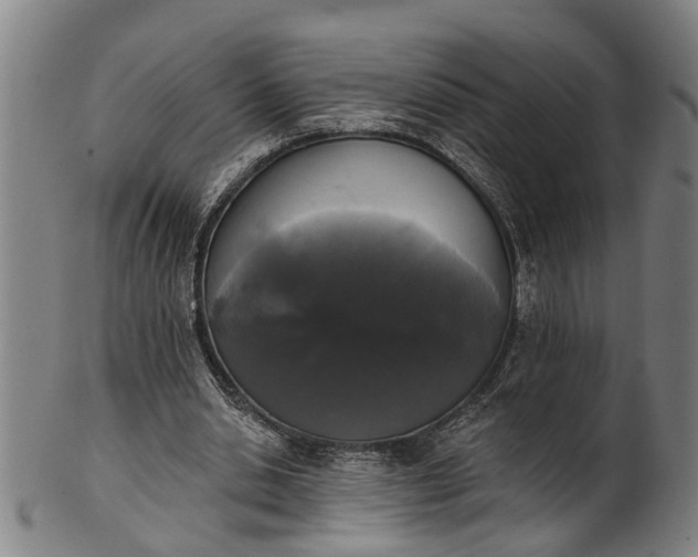 X0000101230438200807111124