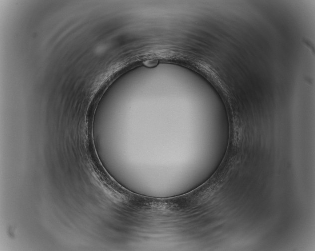 X0000101230439200807111124