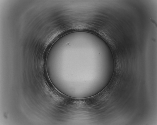 X0000101230440200807111124