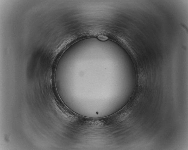 X0000101230443200807111124