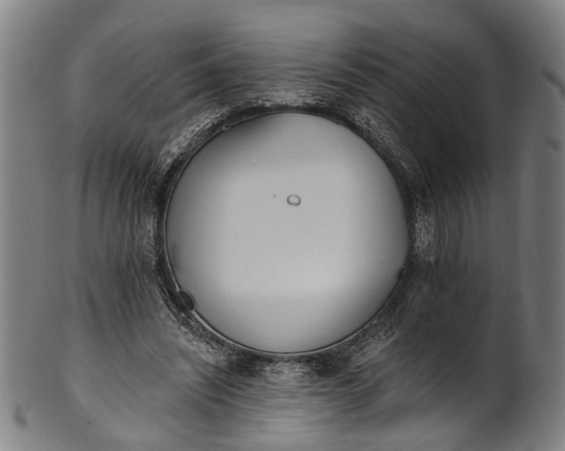 X0000101230444200807111124