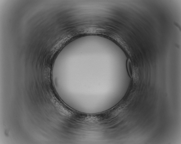 X0000101230445200807111124