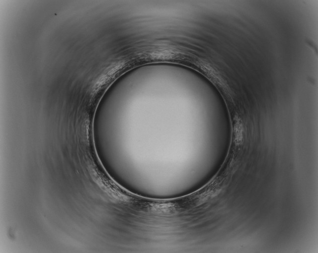 X0000101230446200807111124