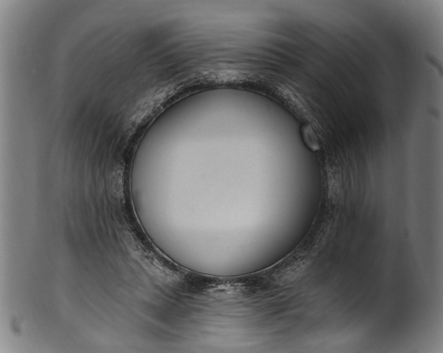 X0000101230447200807111124