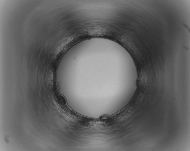 X0000101230448200807111124