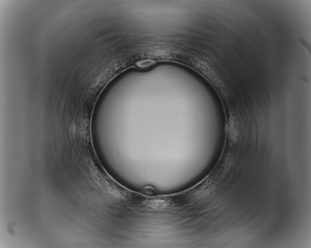 X0000101230449200807111124