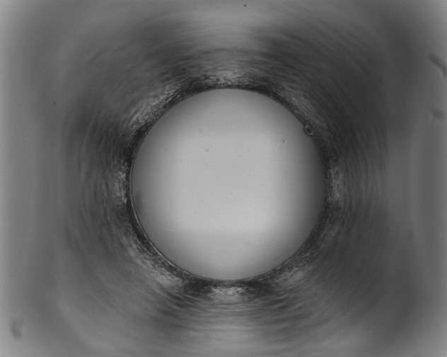 X0000101230450200807111124