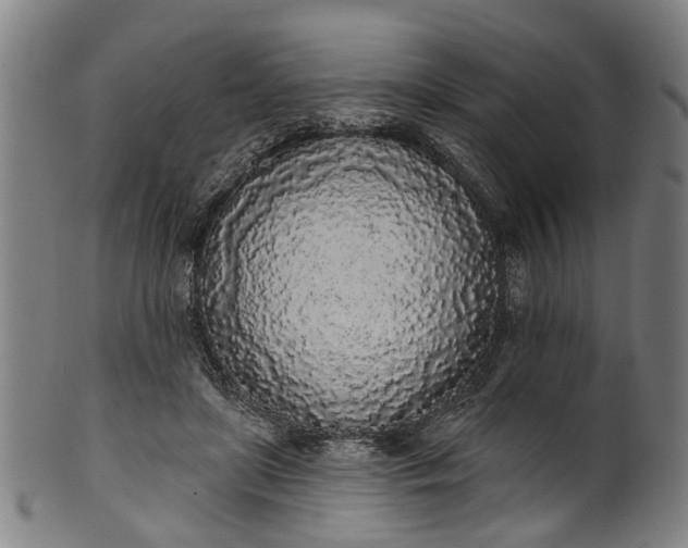 X0000101230451200807111124