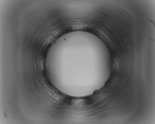 X0000101230452200807111124