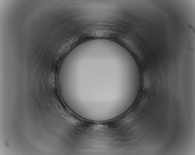 X0000101230453200807111124