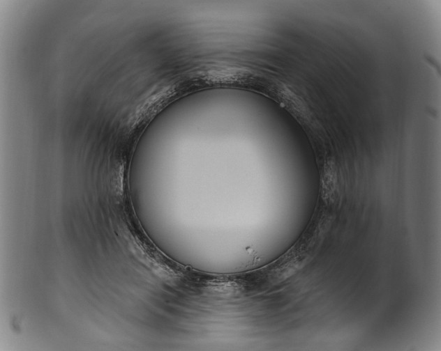 X0000101230454200807111124