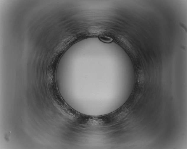 X0000101230455200807111124