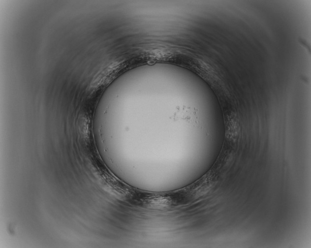 X0000101230456200807111124