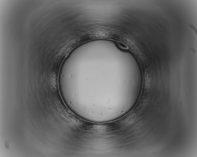 X0000101230457200807111124