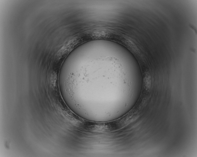 X0000101230458200807111124