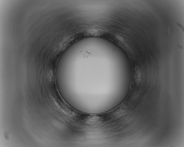 X0000101230459200807111124