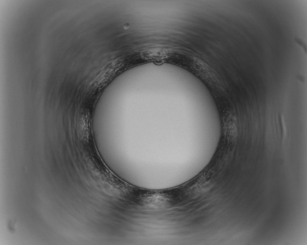 X0000101230460200807111124