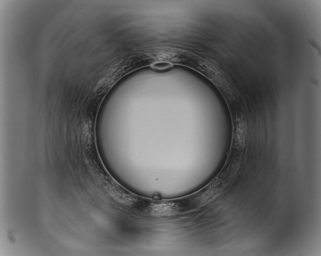 X0000101230461200807111124