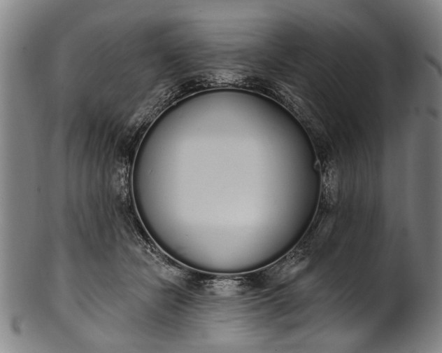 X0000101230462200807111124