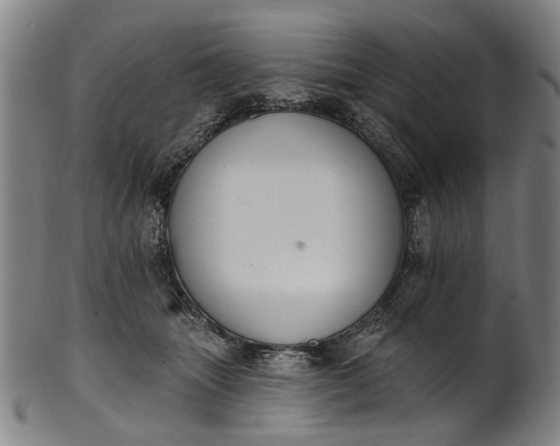 X0000101230463200807111124