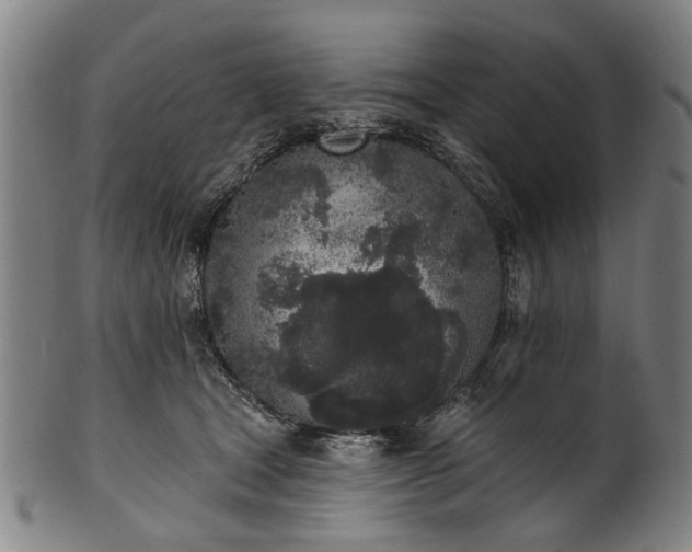 X0000101230465200807111124