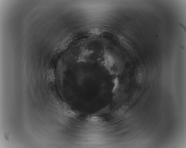 X0000101230467200807111124