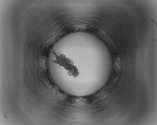 X0000101230468200807111124