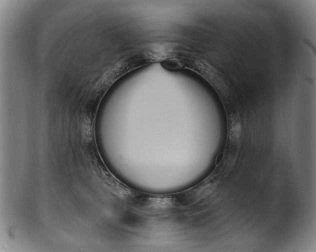 X0000101230469200807111124