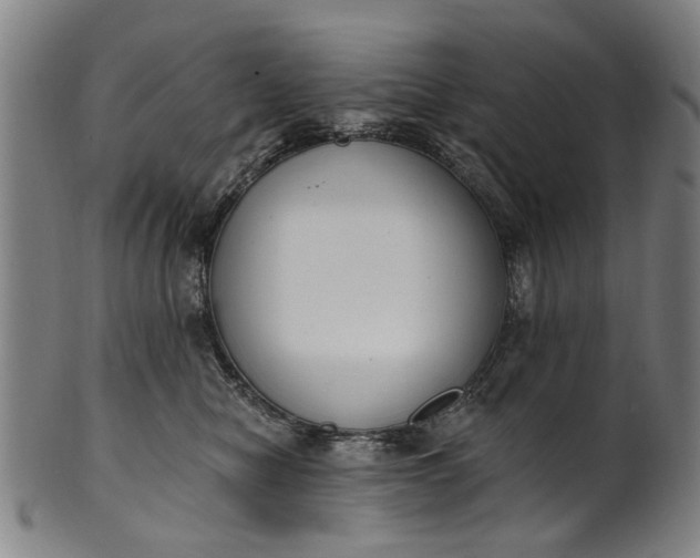 X0000101230470200807111124